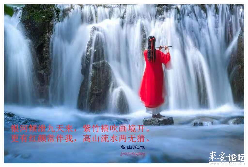 批发市场里的“幸福年味”