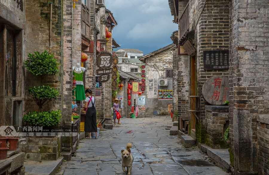 逗小猴开心系列213