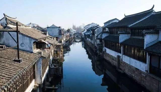 为什么说，狗是让人敬畏的！