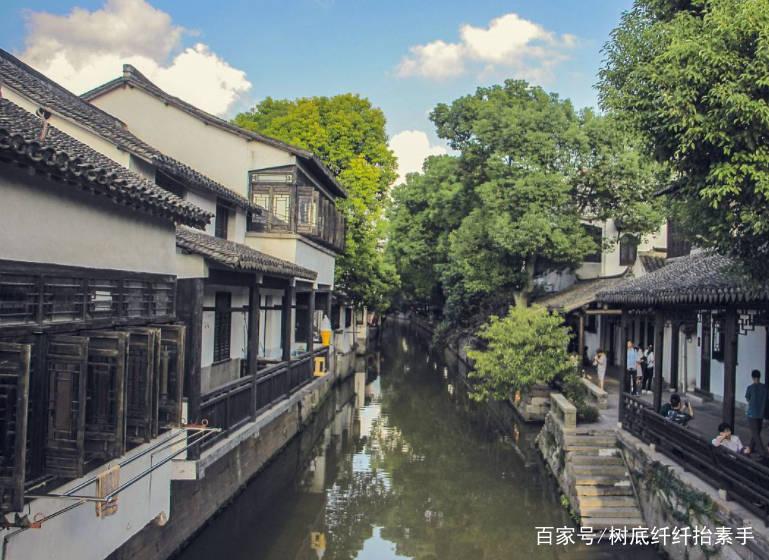 拯救蓝色小鸟
